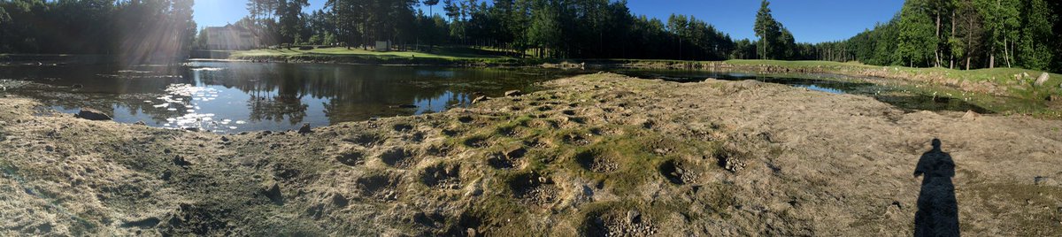 TimothyJ32's tweet photo. Sleeping with the Fishes....#preciousresource #turfsnap #conservewhatyougot #nosleepatnight https://t.co/9nfHo37rSm