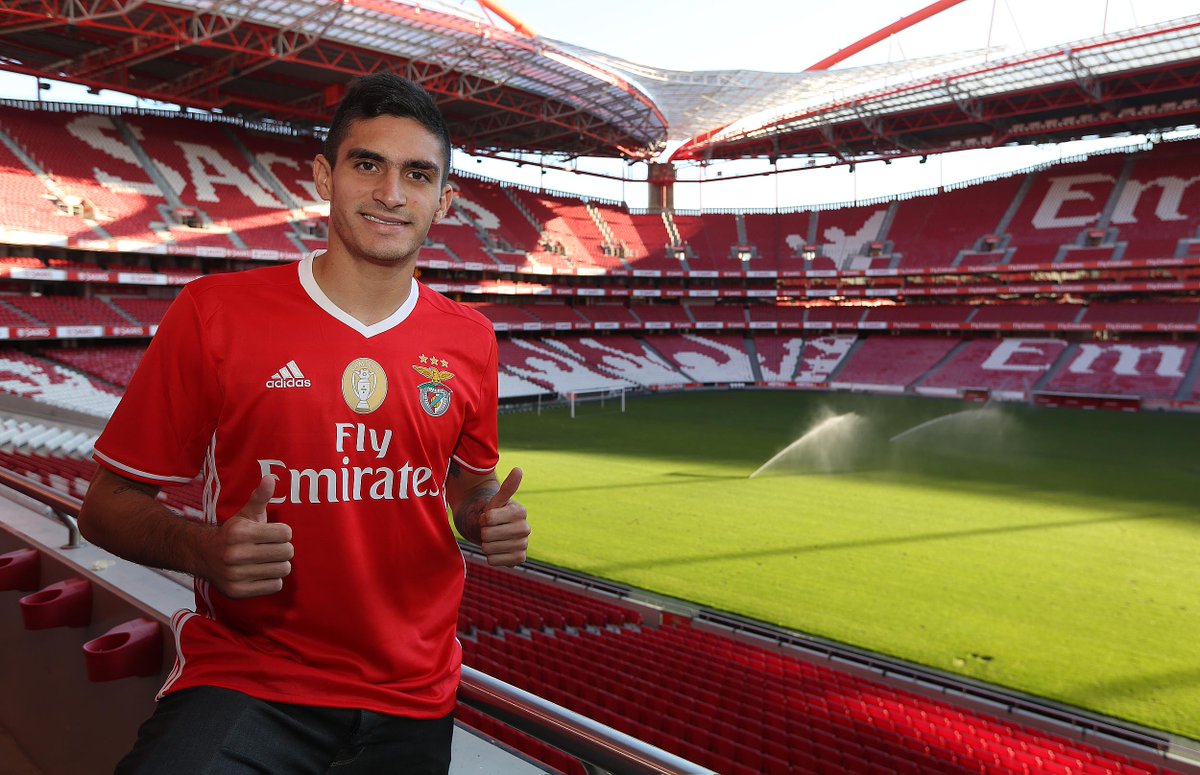 Celis Últimas noticias y actualidad en vivo Scoopnest