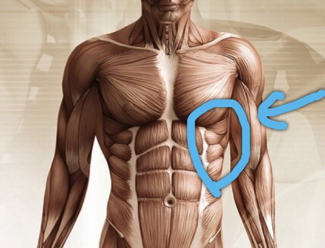 Twitter 上的 血眼 昨日敏弥が脱いで筋肉凄いのにあばら見える ってビックリしてたんだけど今日よく見てみたらサイドの筋肉が細く 鍛え上げられてるだけだった あそこ鍛えるの大変そうな気がするんだけど 敏弥お前すげーな T Co M2gmcazm2a Twitter