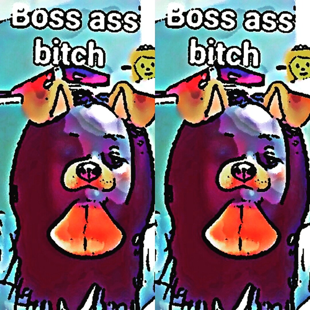 BOSS ASS BITCH💗💜💎👰👸🎀💪
