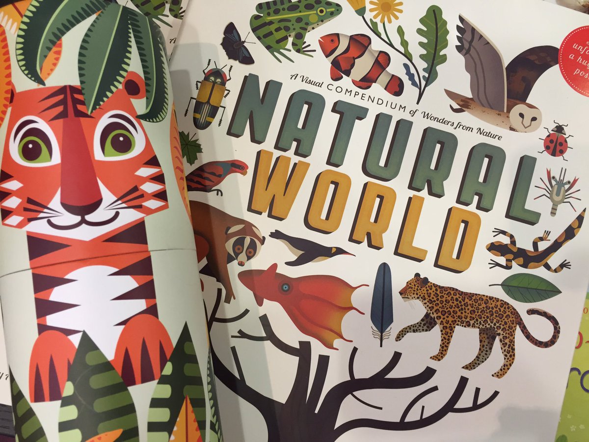 Morning! With so much to do today in Dorset we are spoilt for choice! What are you up to?