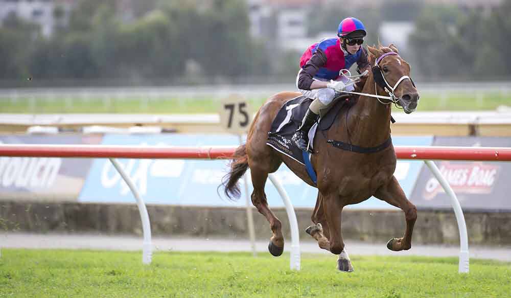 PerthRacing's tweet image. Let's get #VegaMagic trending!