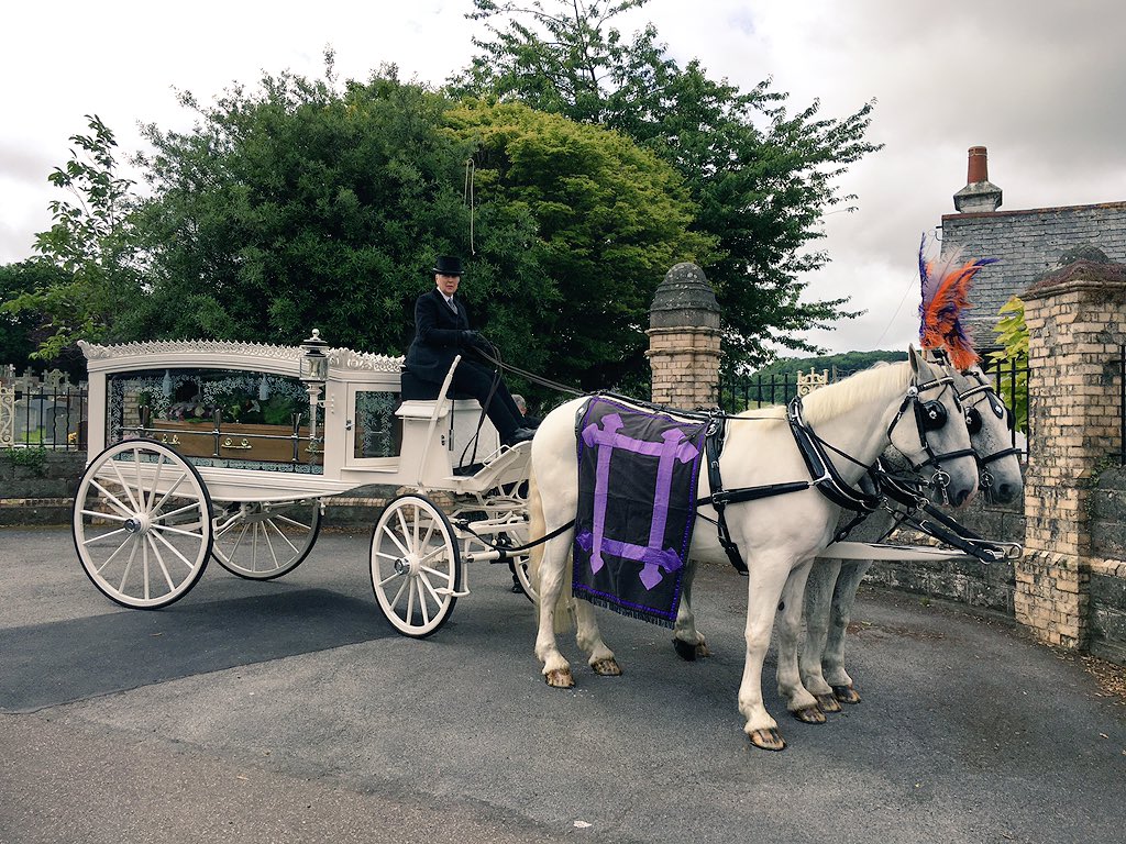 White horse drawn hearse w/ colourful plumes for a loving partner and mother #special #funeral #traditional #horses
