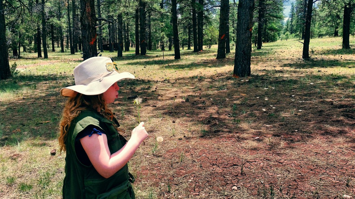 StealthBeth's tweet image. #makingawish #KaibabNationalForest #keyholesinktrail 
#3generationroadtrip2016 
#JrRanger