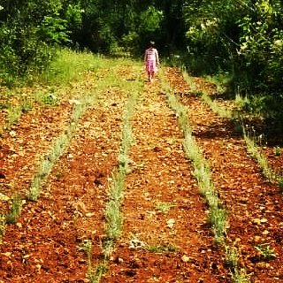 #cmilje#sun#hercegovina