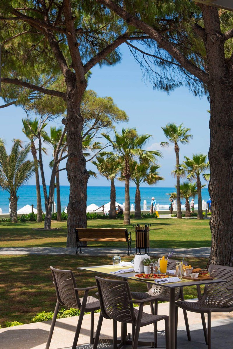 BarutHotelsTR's tweet image. Palm trees, Mediterranean breeze and salty air...Feel the #summer
🌴☉🌴
#BarutAcanthusCennet