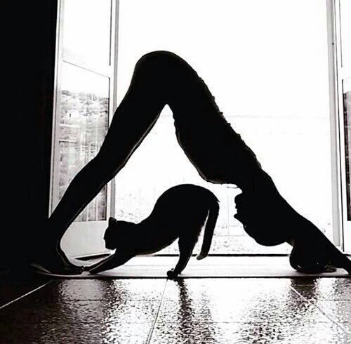 mari_ub11's tweet photo. #fullconnection 😁😁🌻💚☮ https://t.co/np4USd5MiR