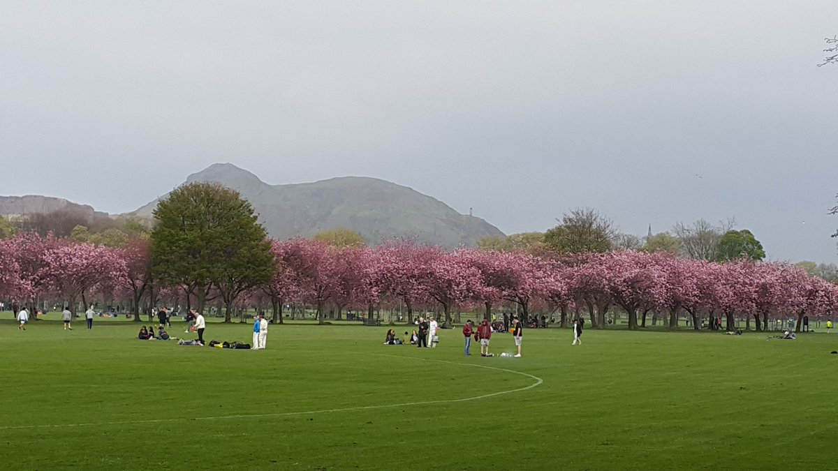 GetActiveMOOC's tweet photo. Walk in a park helps to de-stress. But also check out these other 10 stress-busters https://t.co/VAPLUFhysh https://t.co/q4xaDz0EDC