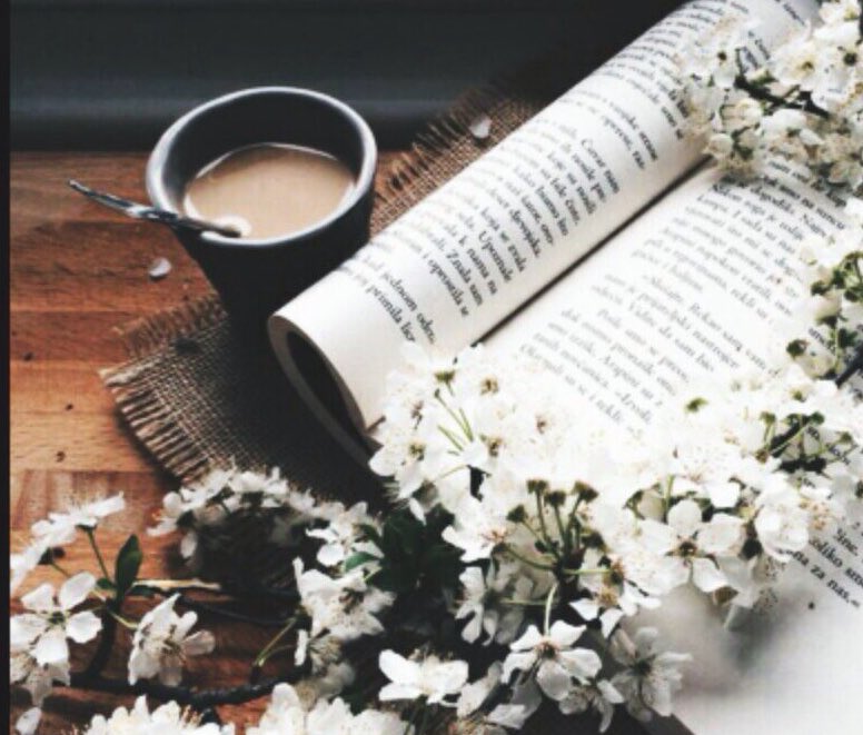 ¡En @MidnightRxl buscan gente! 

🌺Rol Multifandom
🌺Se aceptan pjs inventados
🌺Reglas: twitlonger.com/show/n_1sopir3