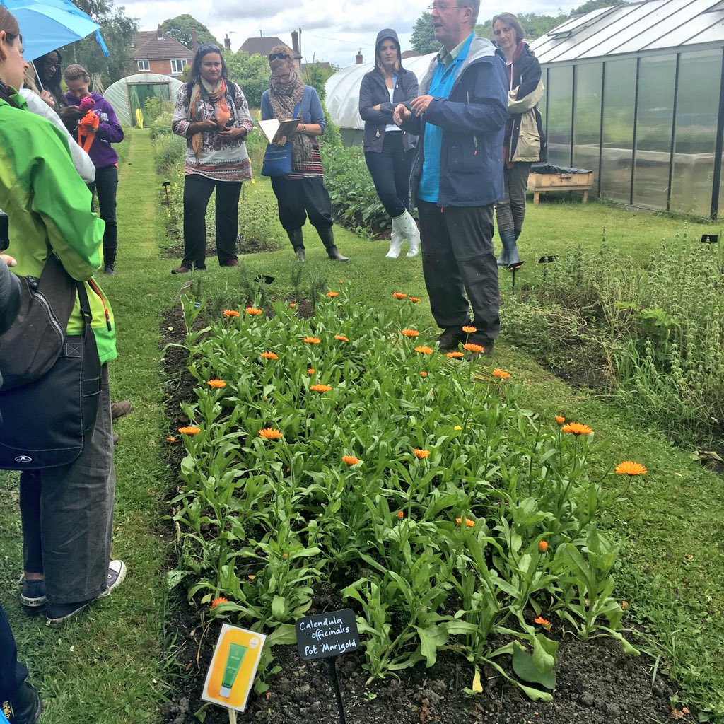 beautyrocksblog's tweet image. Getting some #WeledaInsight at the @WeledaUK gardens! 🌺 #bbloggers #fblchat