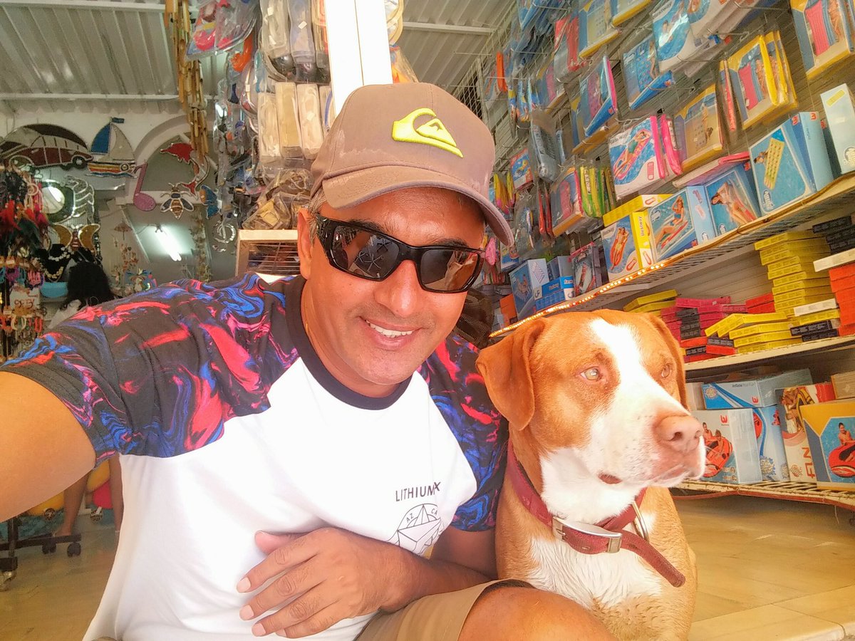 avi malik tweet media