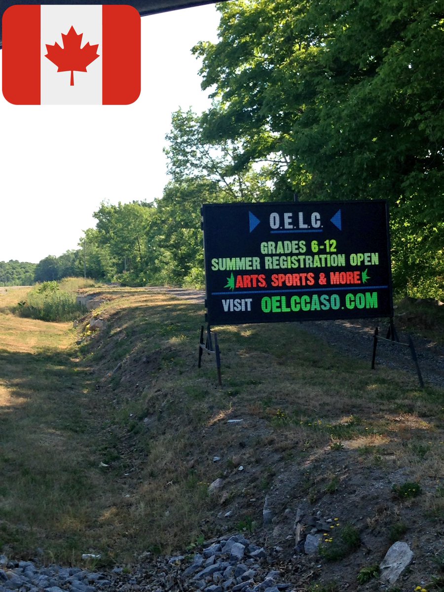 αℓℓιѕση ƒυιѕz 🐧🦑🦉 tweet media