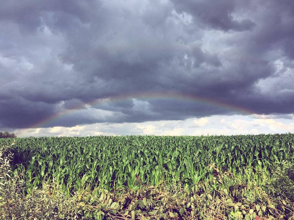 visityDE's tweet photo. Wir wünschen uns einen langen Sommer #pssst #rainbow #visity #clouds https://t.co/LAAmt6Eqra