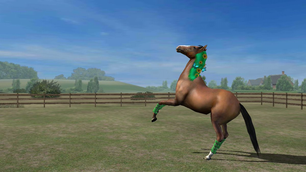 diegarces's tweet photo. Mira mi foto! Add me, dialgaflo. #MyHorse https://t.co/9B7FI9HVAz