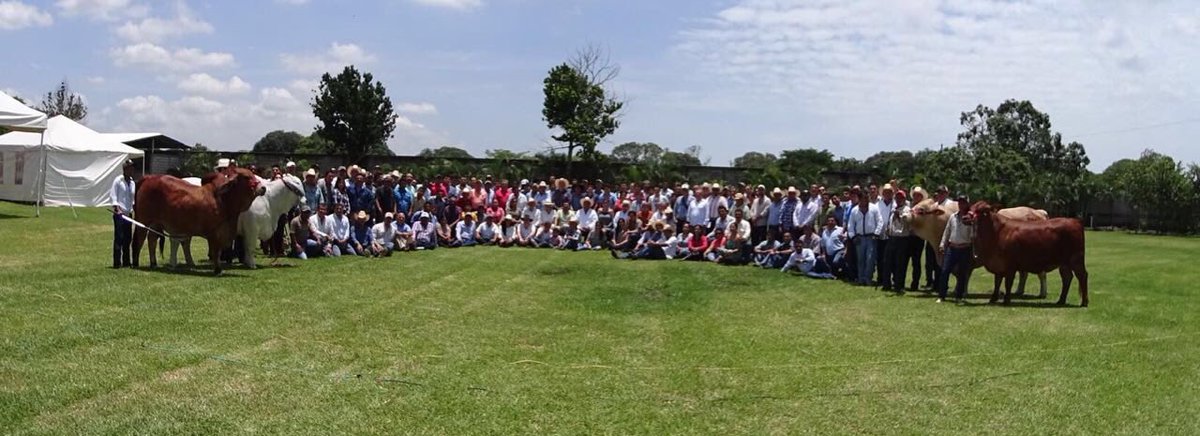 JCMolina2016's tweet photo. Agradesco a los amigos ganaderos su visita al rancho..Feliz Regreso @CNC_CEN @CNCVerac https://t.co/lbkJsLKHB6