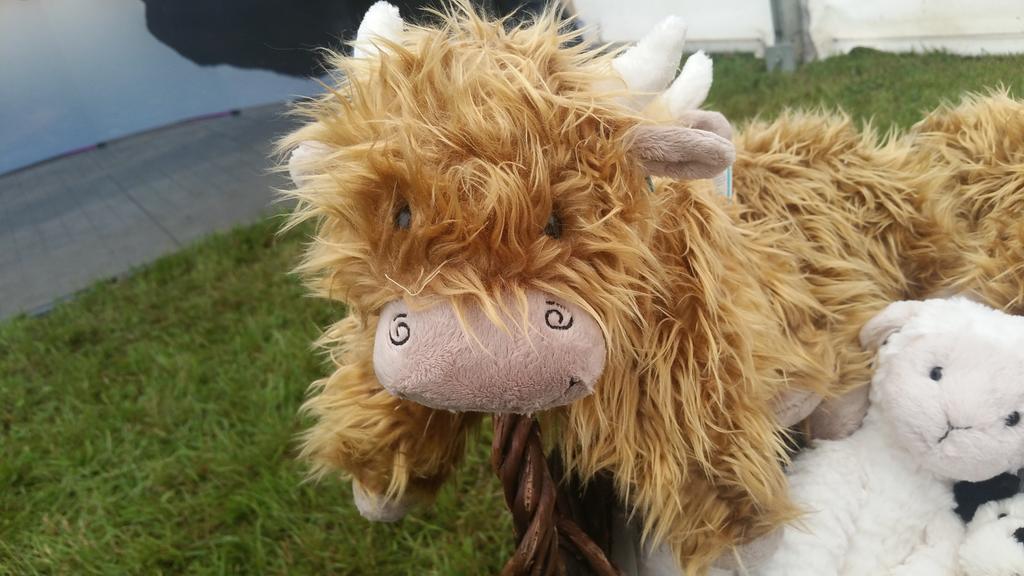 Take home your very own #highlandcoo from #LussHighlandGames. Available from <a href="/lussgenstore/">Luss General Store</a>