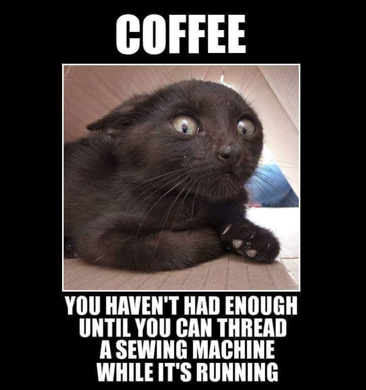 MsRachelOrr's tweet photo. Ain't it the truth!:) #Ilovecoffee #starbuckscoffee #blackcatsrule #catlover #ziggystarcat #Blackcat https://t.co/5i2tuwaeib