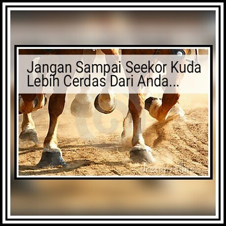 bbg_alilmu's tweet photo. Baca ---> https://t.co/2eklGsTY0Q https://t.co/wNfHpkpGFt
