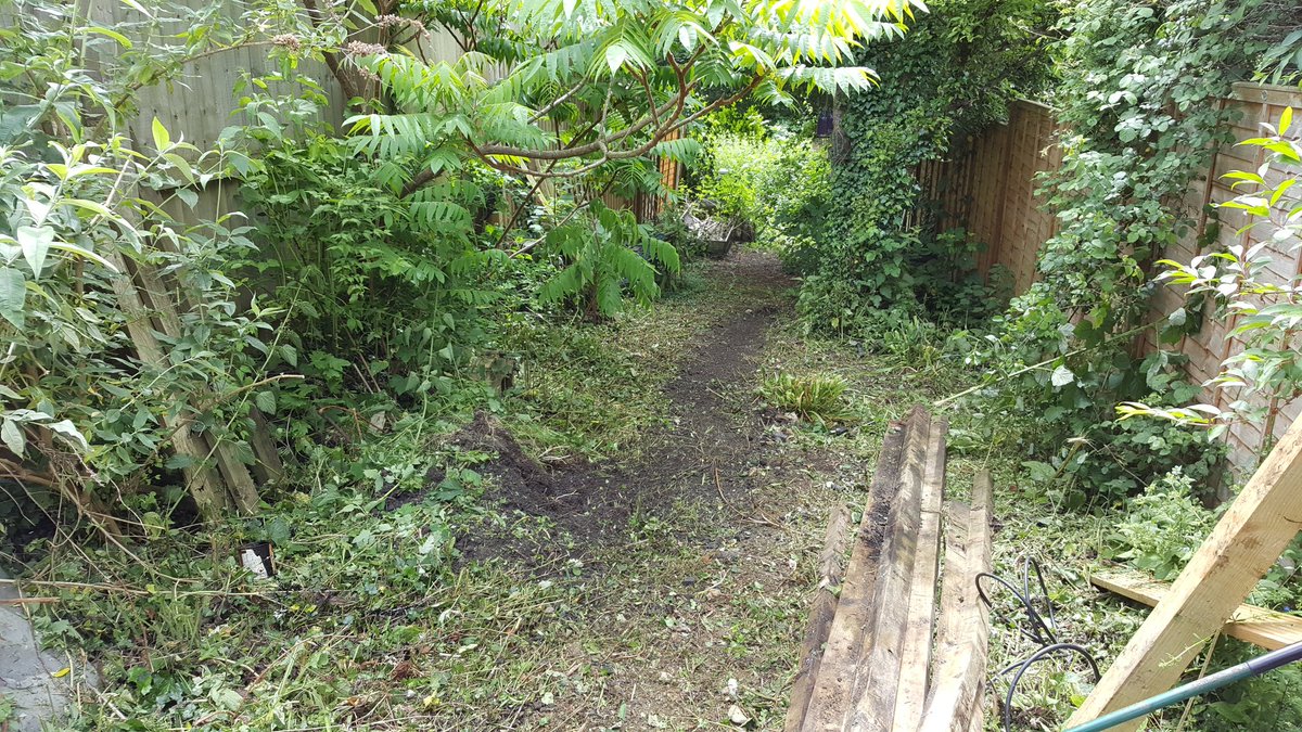Wfencinggarden's tweet photo. Garden clearing and ground level for a long term customer, love my job #lovemyjob #Trowbridge #gardening #Melksham https://t.co/4QrJ2EALR4