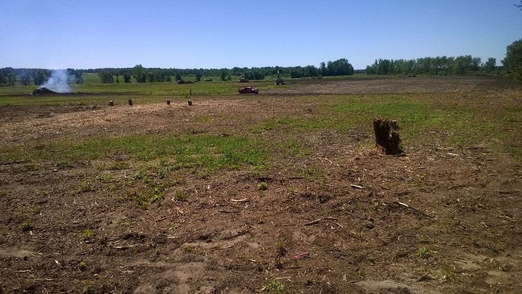 RemingtonExc's tweet photo. We mulched the trees and brush followed by grinding the stumps. Land leveling is starting soon. #blueberry field. https://t.co/RfO7NKl7qt