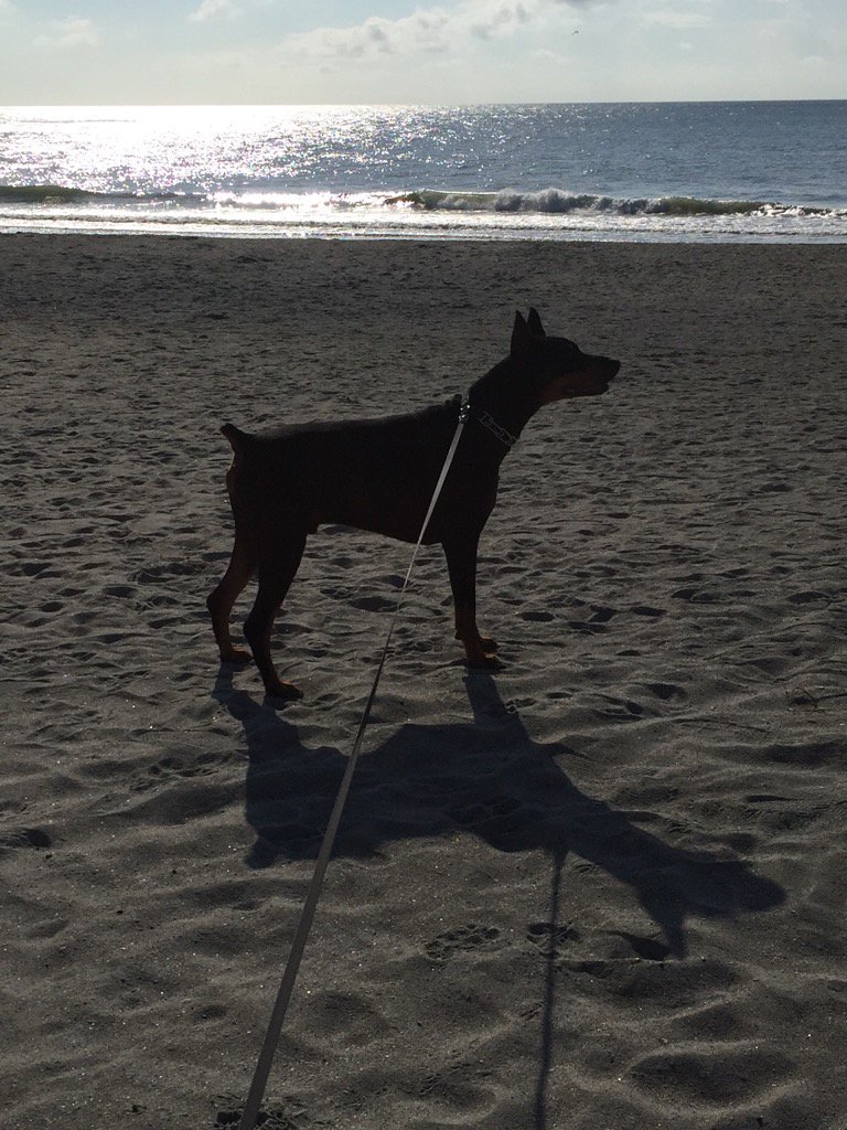 Good Morning from Kure Beach.