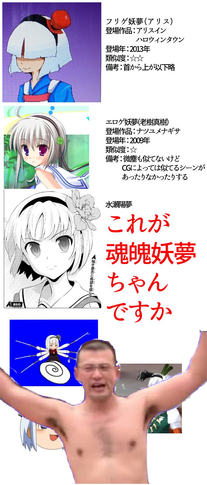 ポイズン青山 ネットで 妖夢に似ている と言われているキャラを をまとめたら中々業の深い仕上がりに ポイズン青山 ネットで 妖夢に似ている と言われているキャラを をまとめたら中々業の深い仕上がりに