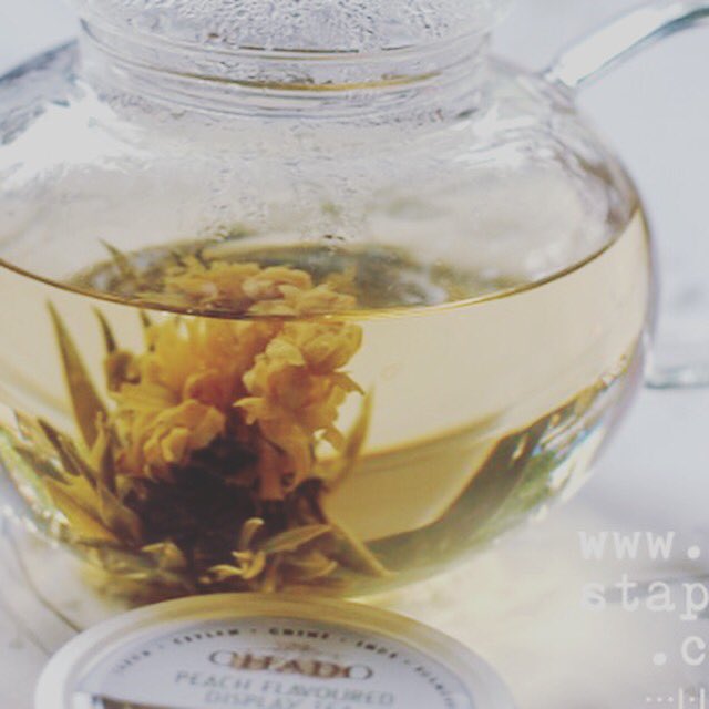 StappuTalks's tweet photo. #teabites pictures are now live on our website.
#events #tea #brunch #breakfast #bites https://t.co/IfTGdresHM