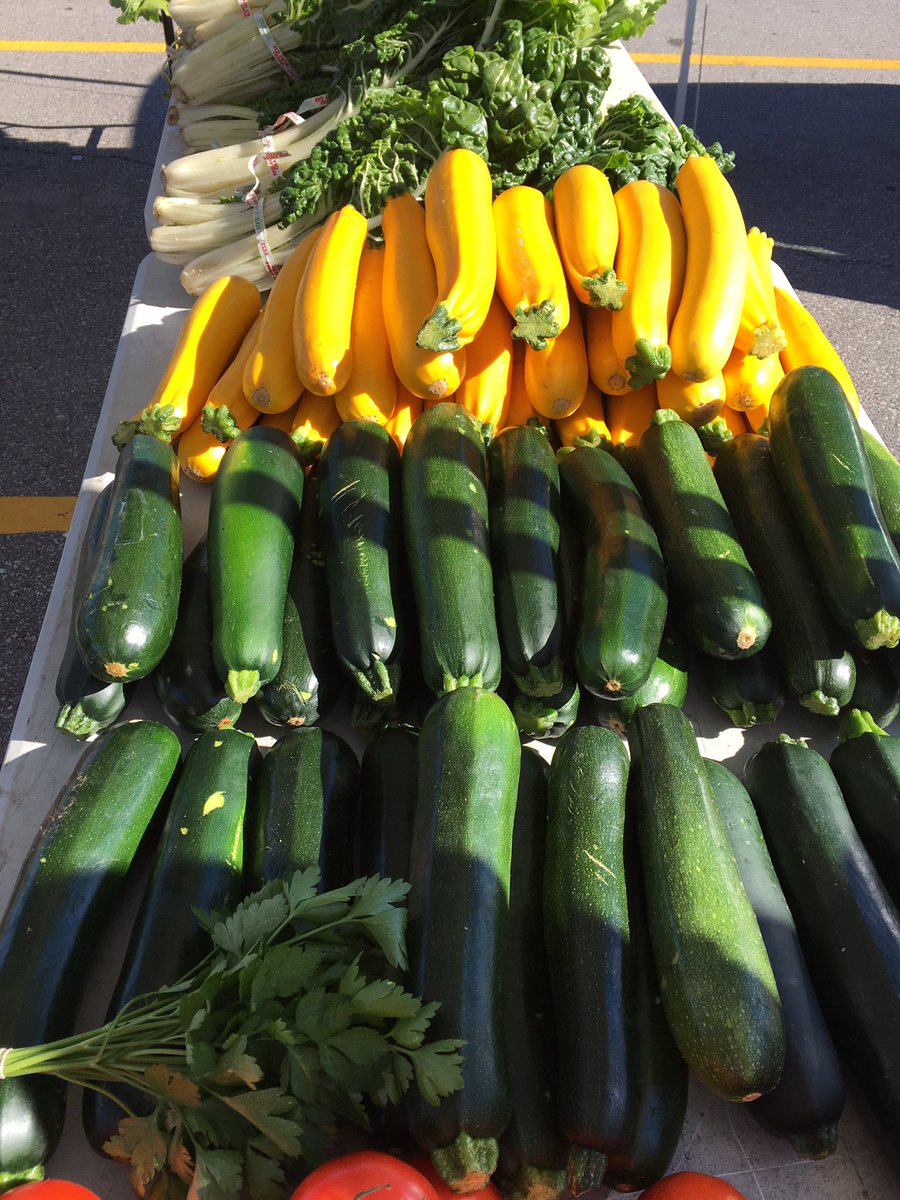 WoodbridgeRPA's tweet photo. Fresh zucchini anyone? Check out E.F.T Farms @WoodbridgeMrkt #vaughan https://t.co/0xsJEkyGlP