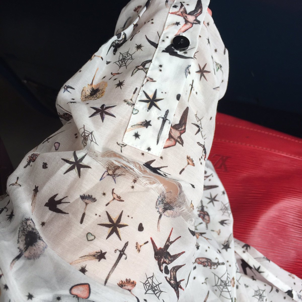 Marta Pompilio tweet media