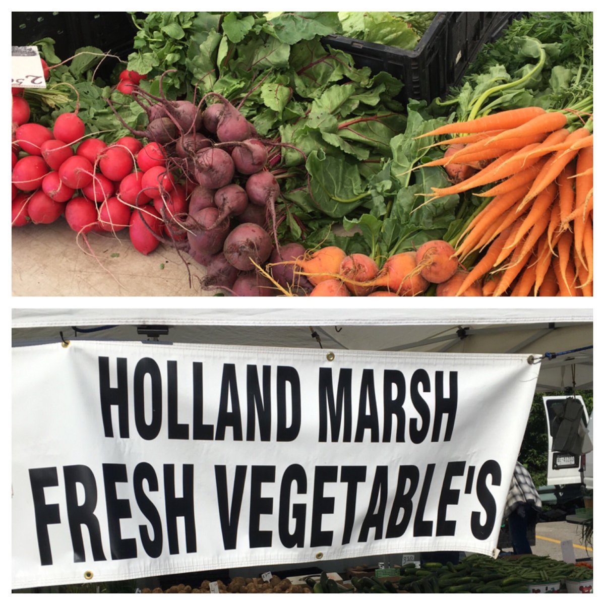 WoodbridgeRPA's tweet photo. Having guests for dinner tonight? Check out our produce from our local farmer. @WoodbridgeMrkt @vaughan https://t.co/RwbkrmdZBW