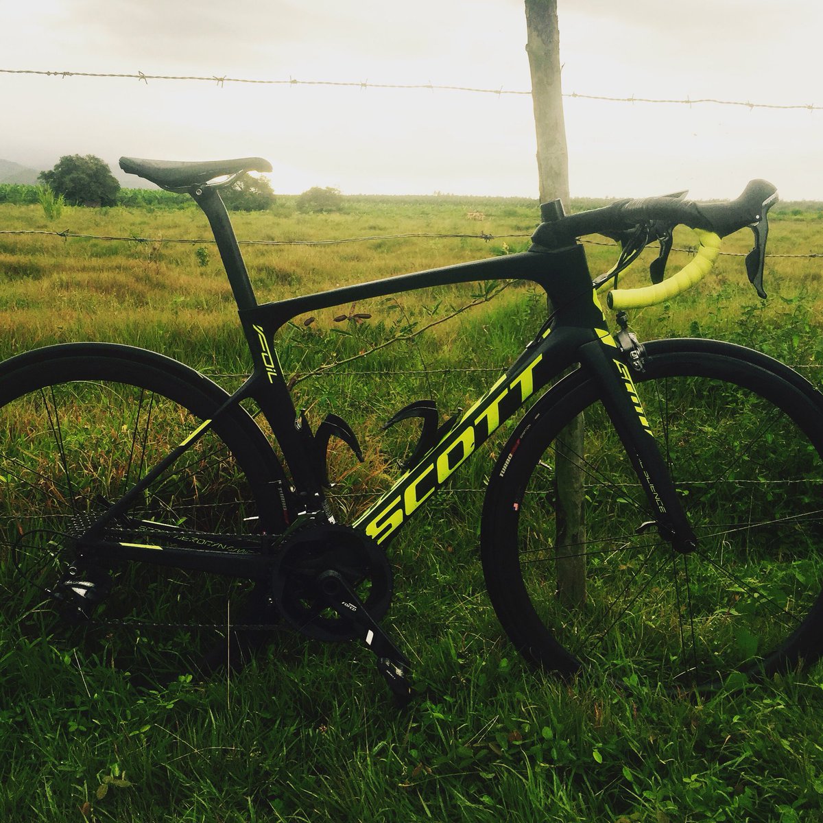 Amazing Bike! Fast and super comfy!!