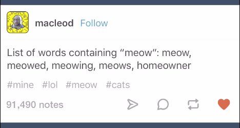 tumblr's tweet photo. Nothing will ever be the same. https://t.co/K9ZMy3JsRS https://t.co/uVIMajLBPy