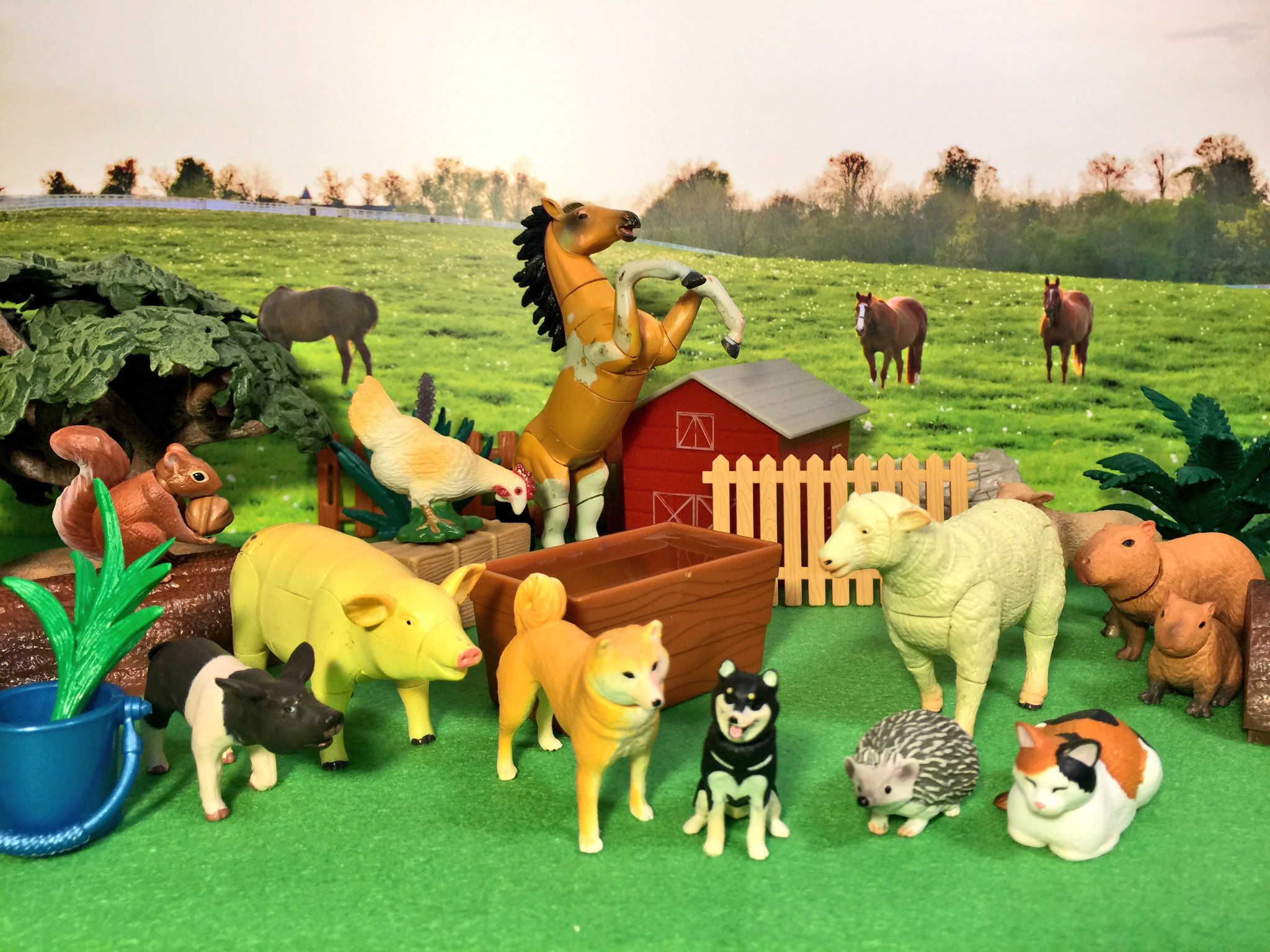 Toy farm videos youtube sale