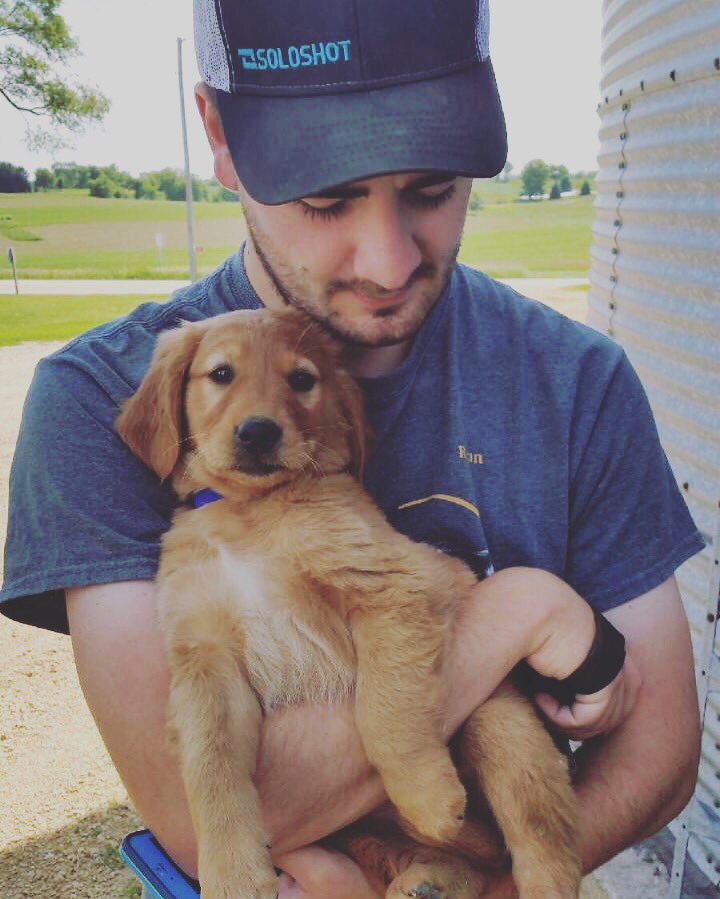 "I have a plan to escape...it might sound a little crazy..." #farming #farmlife #farmdog #puppy #goldenretriever