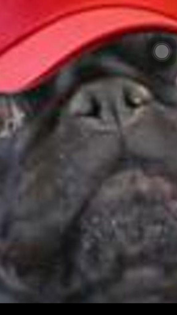 Boskiethepickle's tweet photo. @pewdiepie looookkkkkk https://t.co/M8ZMBBMLyf