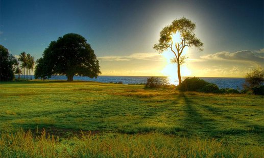 CharlesKPool's tweet image. 