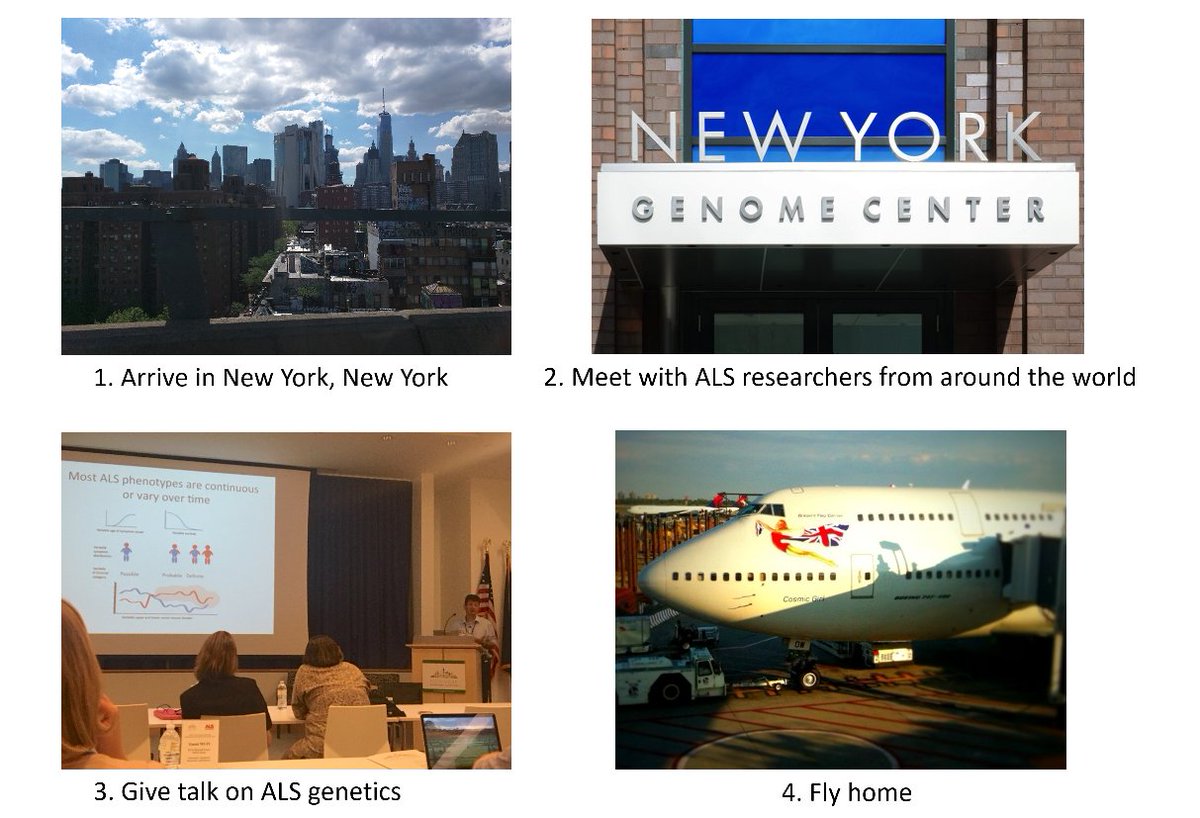 Ammar Al-Chalabi tweet media