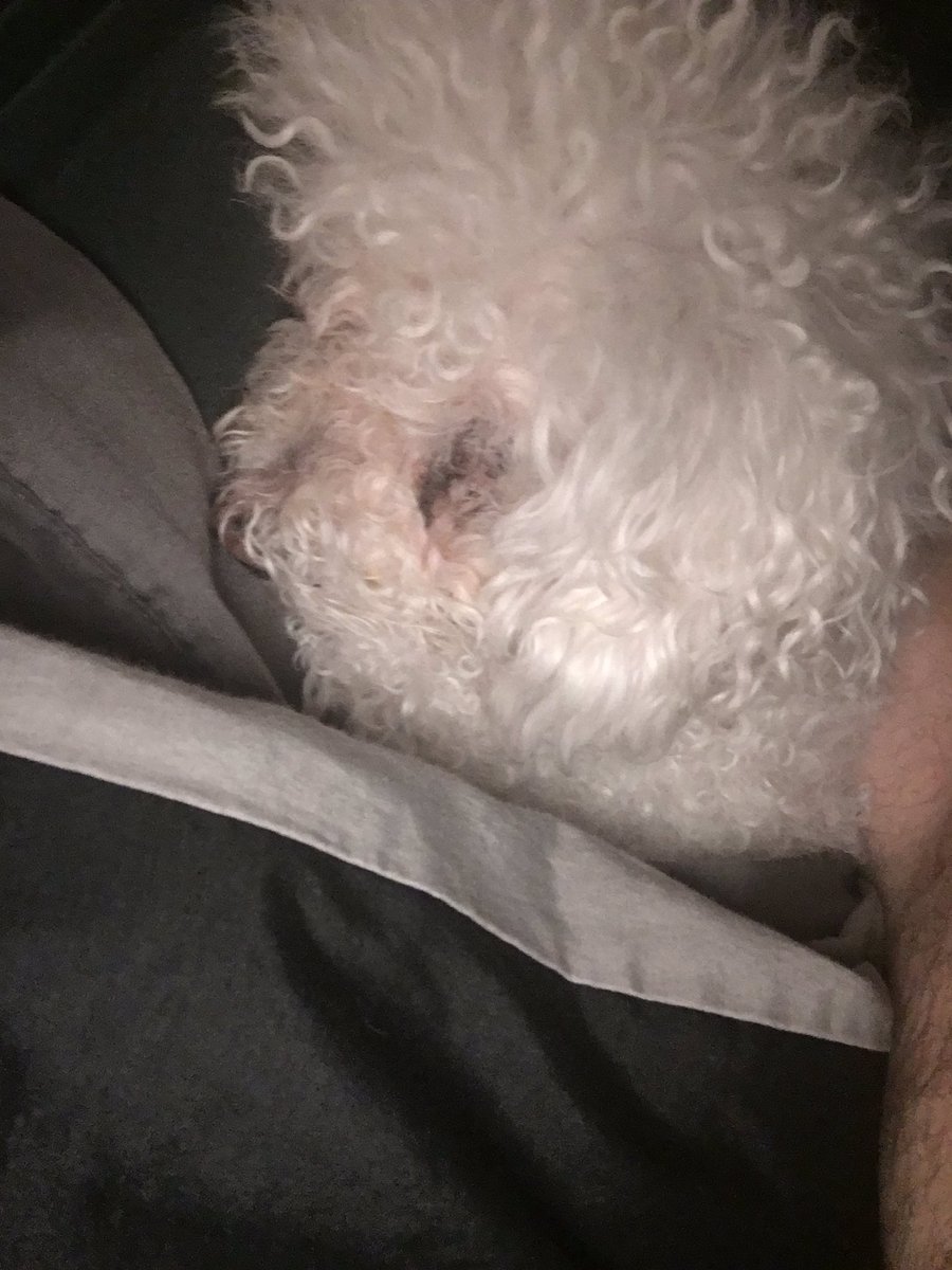 TommyJordan2010's tweet photo. She loves to nap!!' Well so do I https://t.co/arnrAbSl0A