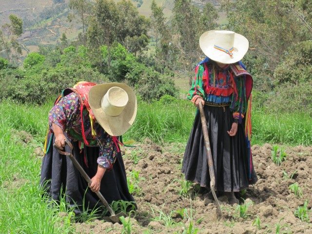 EmisoPlaneta's tweet photo. #LasMujeresYElCampo
https://t.co/P5g36fXdRS
SIGUENOS Y ESCUCHA AZADON Y SEMILLA https://t.co/BNhhxNEuUg