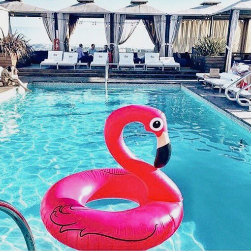 Ethicsstore's tweet photo. Ethics rooftop pool party in the works https://t.co/fXcMnjQlp0