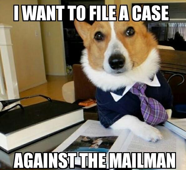 Shivani Anney tweet media