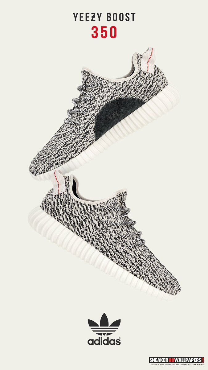 Adidas Yeezy Boost 350 AQ4832 Turtle Dove GREAT IT