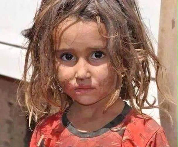 نحتاج الى 60 الف تغريدة ليكون الهاشتاغ الاول على موقع تيوتر اليوم 
#StopYazidiGenocide 
#ger #ITA
