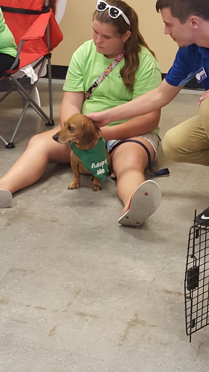 PetSmart LaPlace tweet media