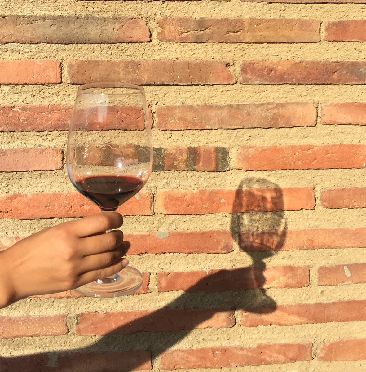 sabateimur's tweet photo. Ombres de vi #priorat #2borratxos https://t.co/aV96LTaCHY