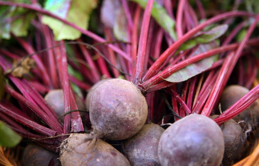 getthatbode's tweet photo. #rt Use beets as a low calorie food you should stick to fresh beets that you either steam, boil, or grill.  #tip https://t.co/kkht0SljUG