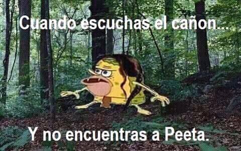 02Muneam's tweet photo. Excelente sábado tributos #LosJuegosDelHambre #humortributo https://t.co/DKDrS8kpFj
