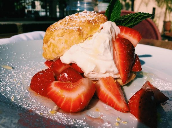 Housemade biscuits, ricotta cream, fresh berries - Wait - you can't smell this?! Bummer... better come to brunch.