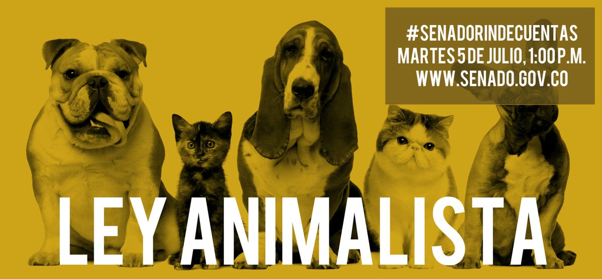 SenadoAnimal's tweet photo. Este año se aprobó la Ley que penaliza el maltrato animal. Más Info. este 5 de julio en #SenadoRindeCuentas. 🐈🐾 https://t.co/IP5FpsSOvw