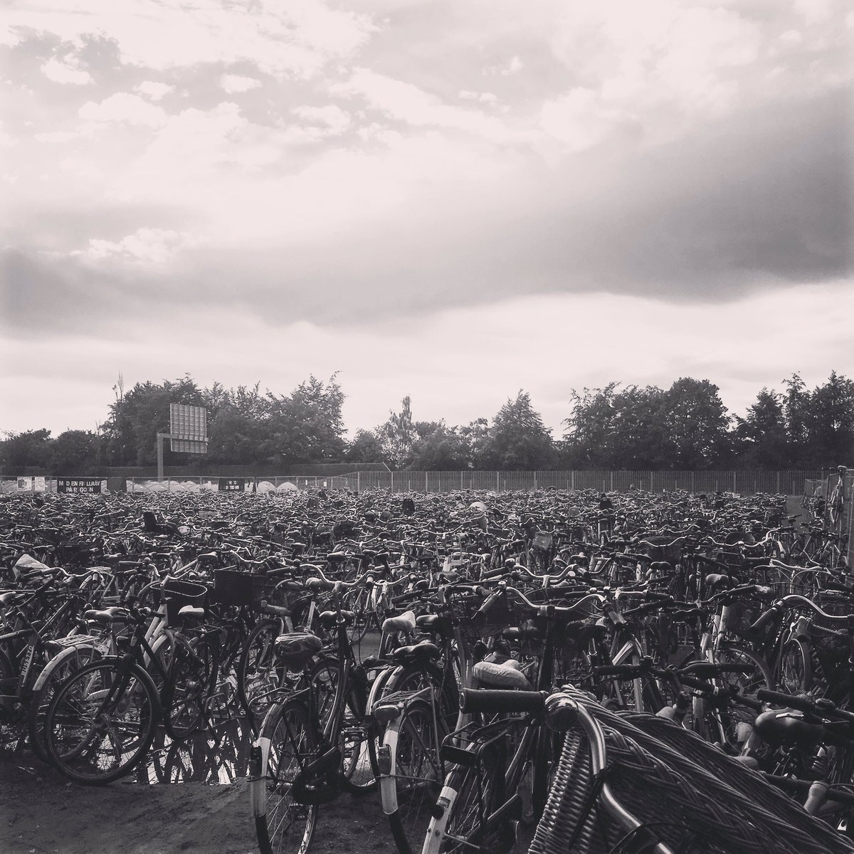 sameri8383's tweet photo. Which one is your bike @orangefeeling #rf16 #orangepress https://t.co/C2U3MG7vLq